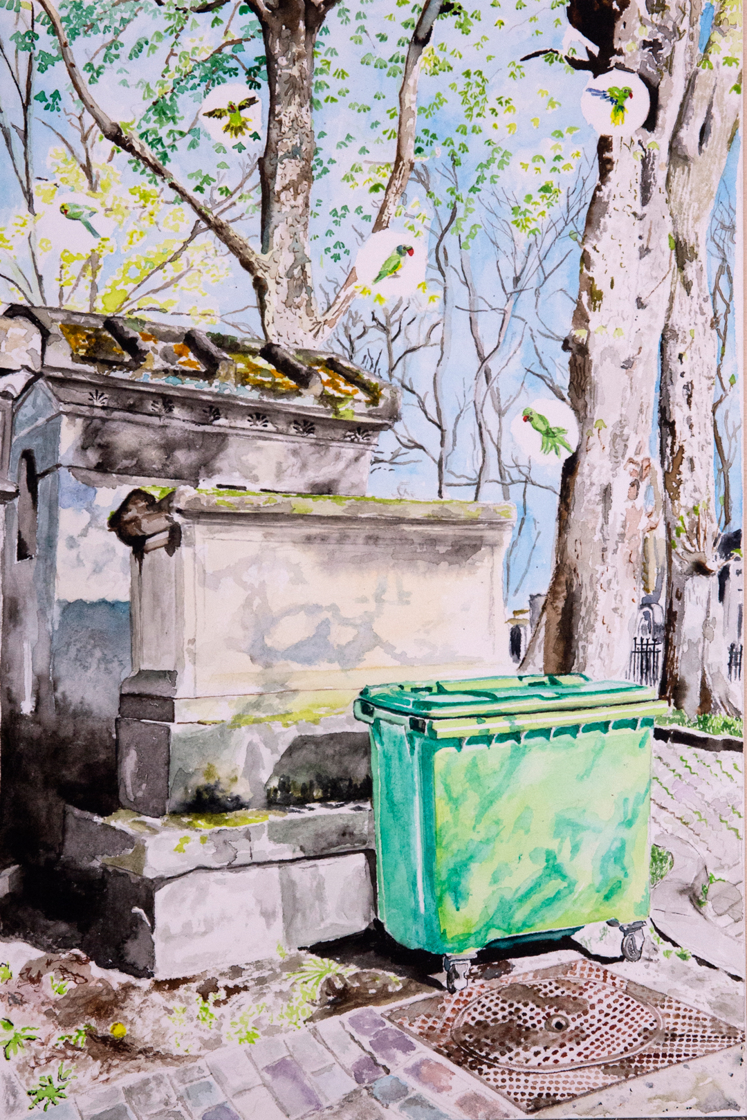 Adalbert Khan - Père Lachaise - Perruches (2023)